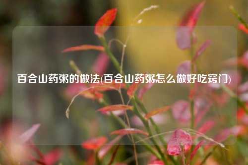 百合山药粥的做法(百合山药粥怎么做好吃窍门)