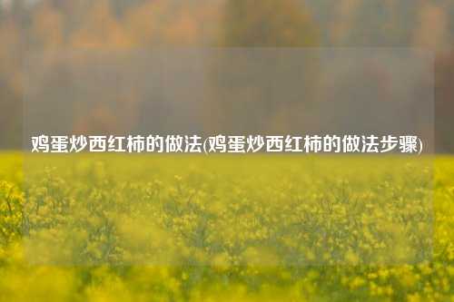 鸡蛋炒西红柿的做法(鸡蛋炒西红柿的做法步骤)