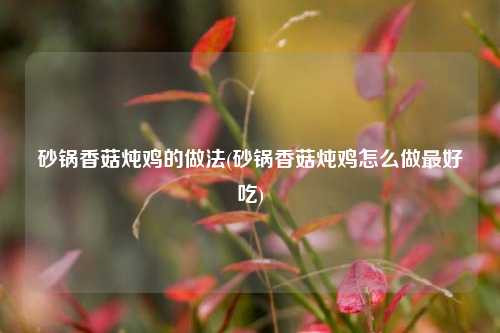 砂锅香菇炖鸡的做法(砂锅香菇炖鸡怎么做最好吃)