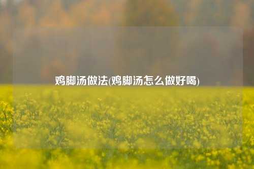 鸡脚汤做法(鸡脚汤怎么做好喝)