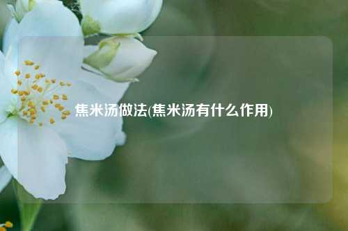 焦米汤做法(焦米汤有什么作用)