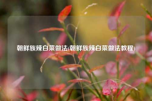 朝鲜族辣白菜做法(朝鲜族辣白菜做法教程)