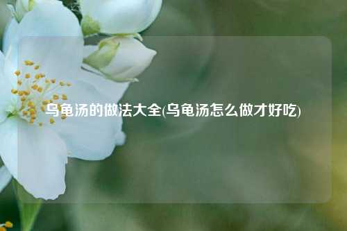 乌龟汤的做法大全(乌龟汤怎么做才好吃)