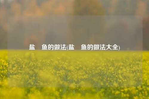 盐焗鱼的做法(盐焗鱼的做法大全)