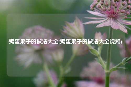 鸡蛋果子的做法大全(鸡蛋果子的做法大全视频)