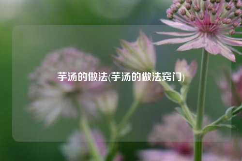 芋汤的做法(芋汤的做法窍门)